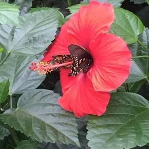 Meet your Posher, Joan